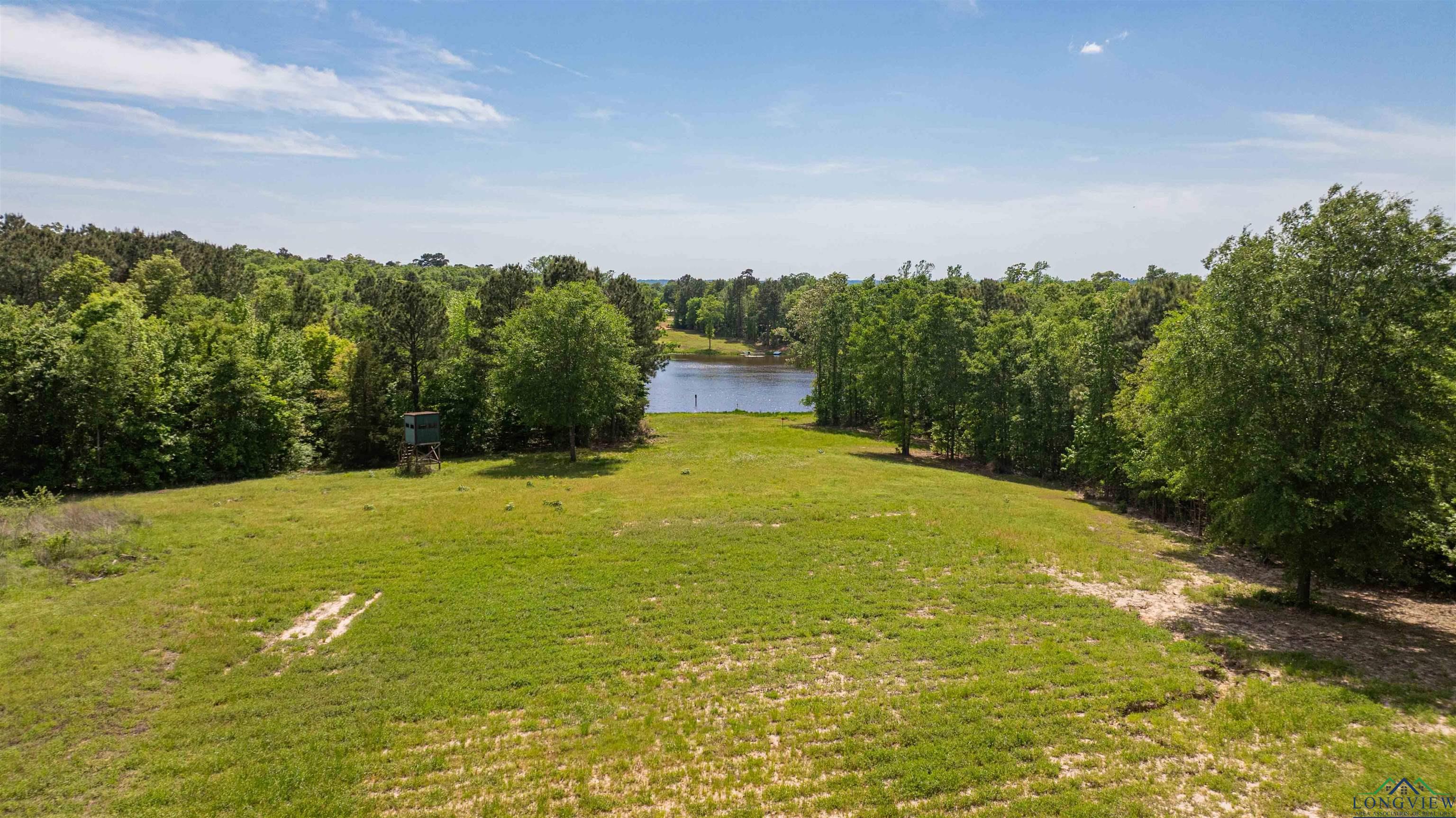 4754 Deer Rd, Gilmer, Texas image 37
