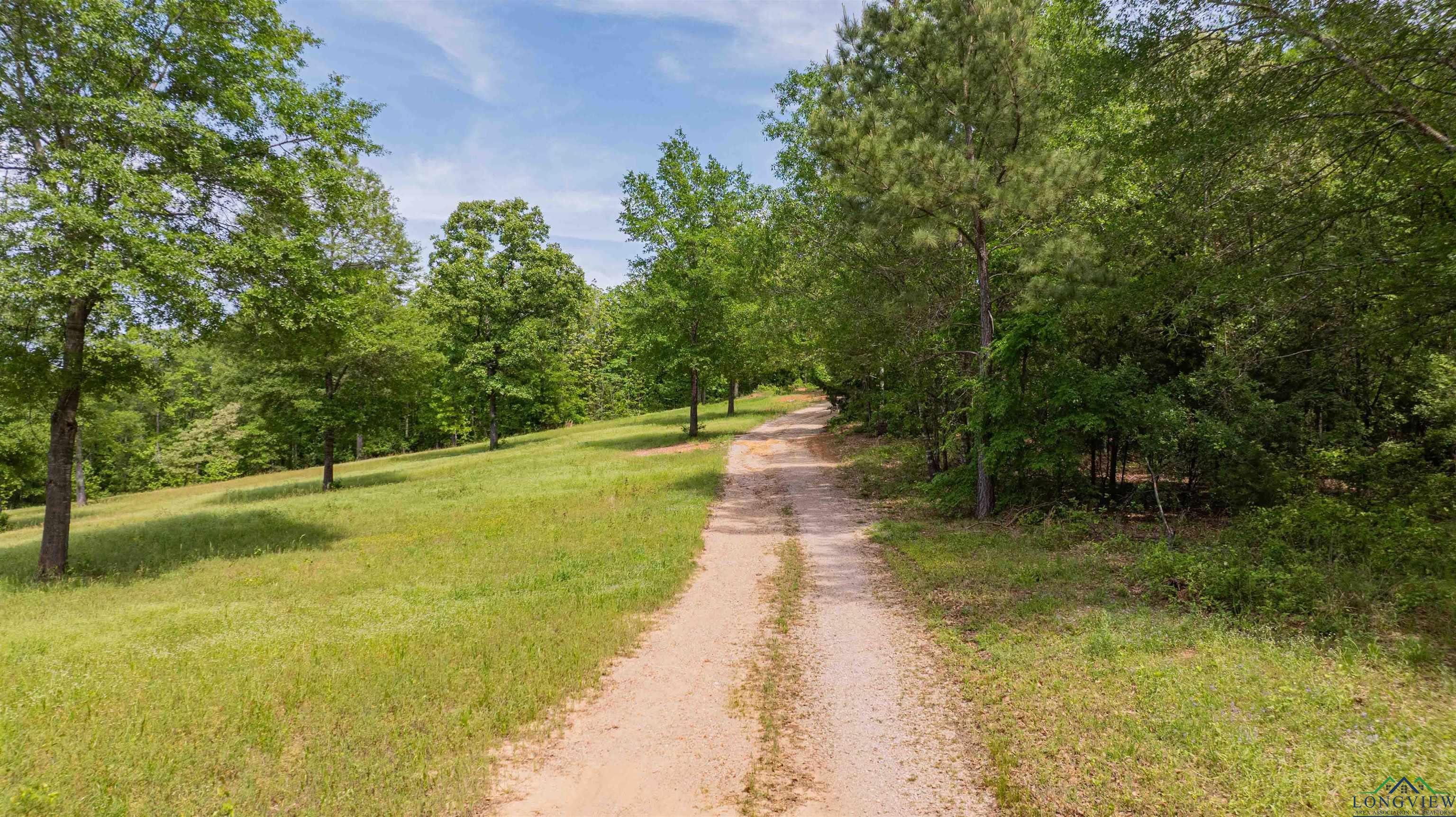 4754 Deer Rd, Gilmer, Texas image 40