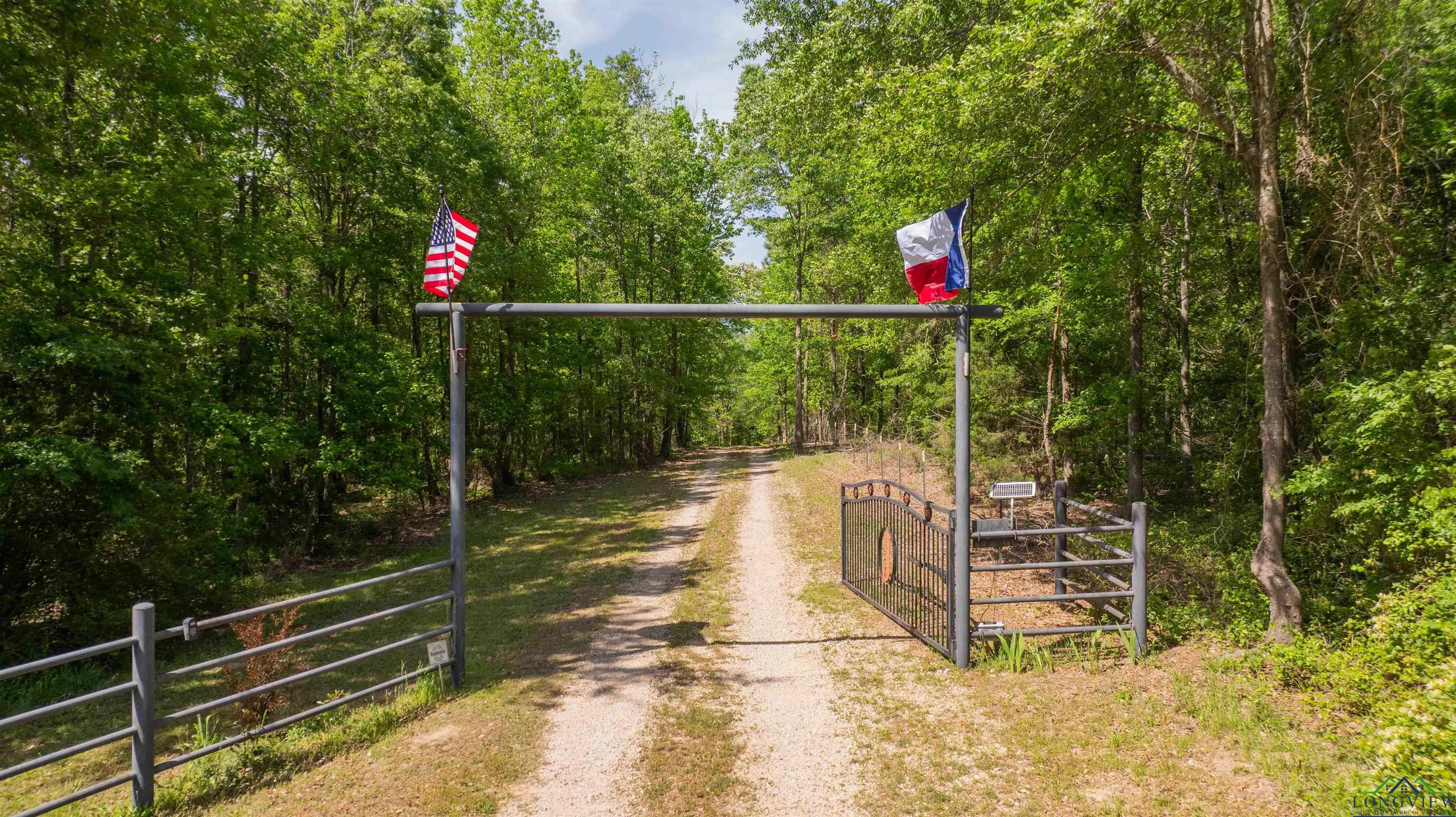 4754 Deer Rd, Gilmer, Texas image 8