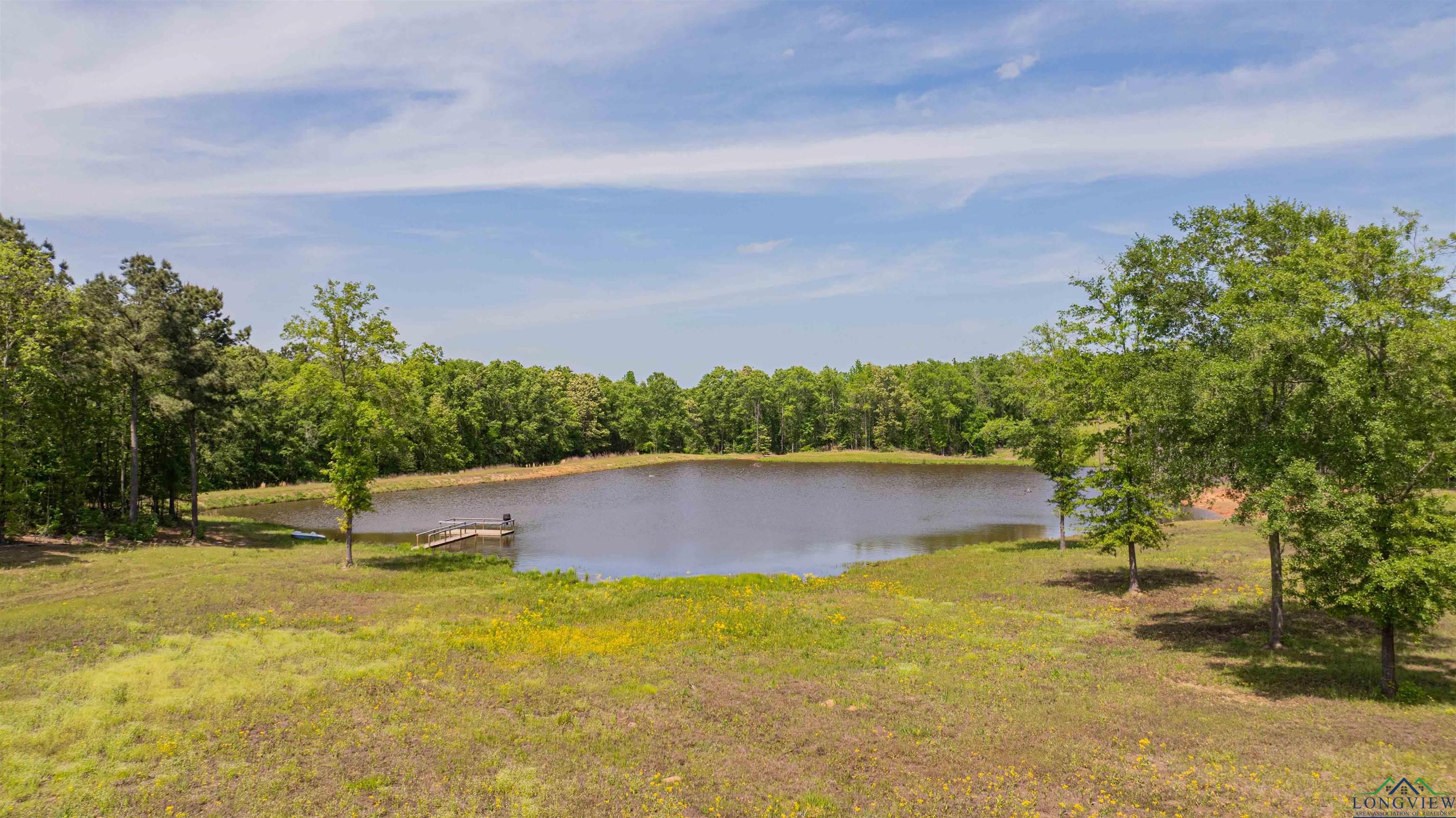 4754 Deer Rd, Gilmer, Texas image 30