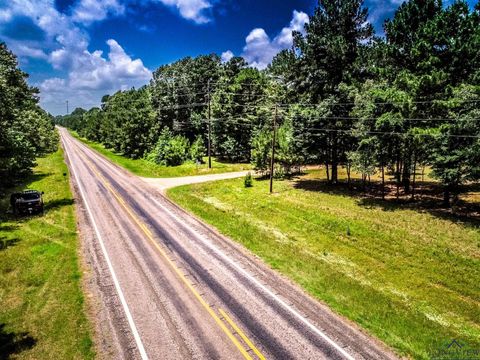Vacant Land For Sale - LOT 1 Fm 134<br/> Jefferson, TX 75657