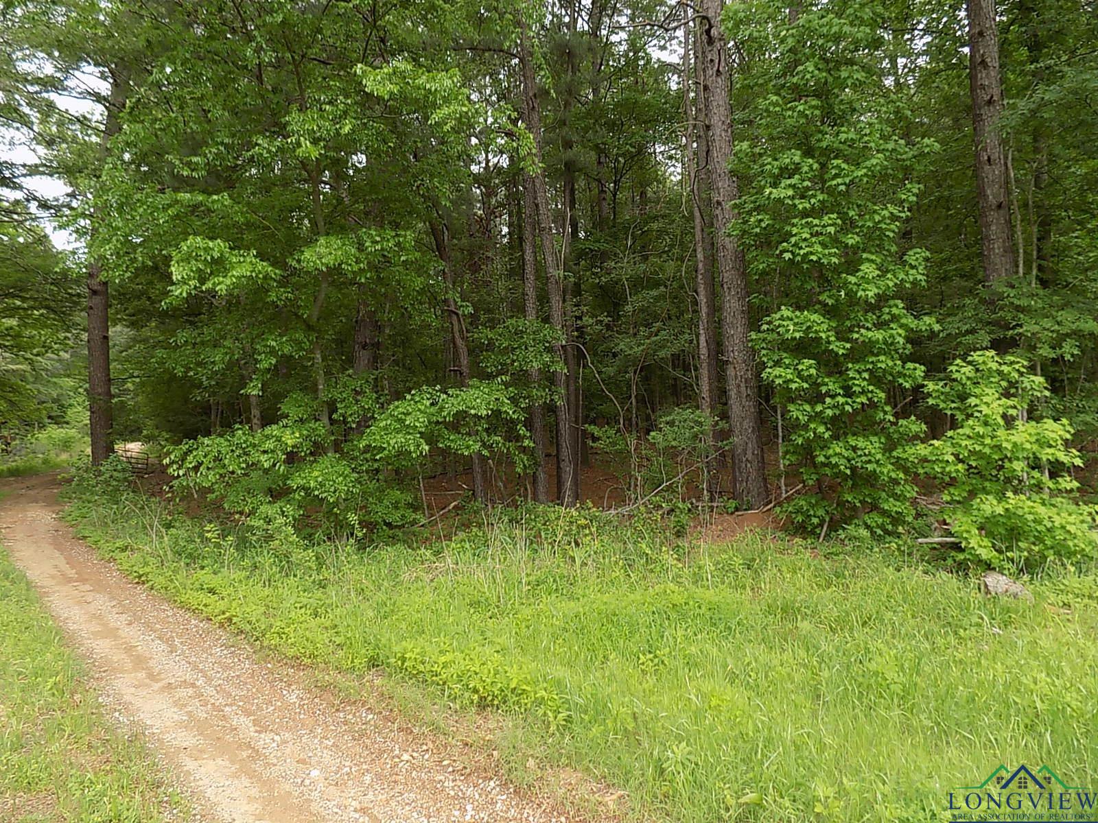 I 20 And Fm 1252, Kilgore, Texas image 3