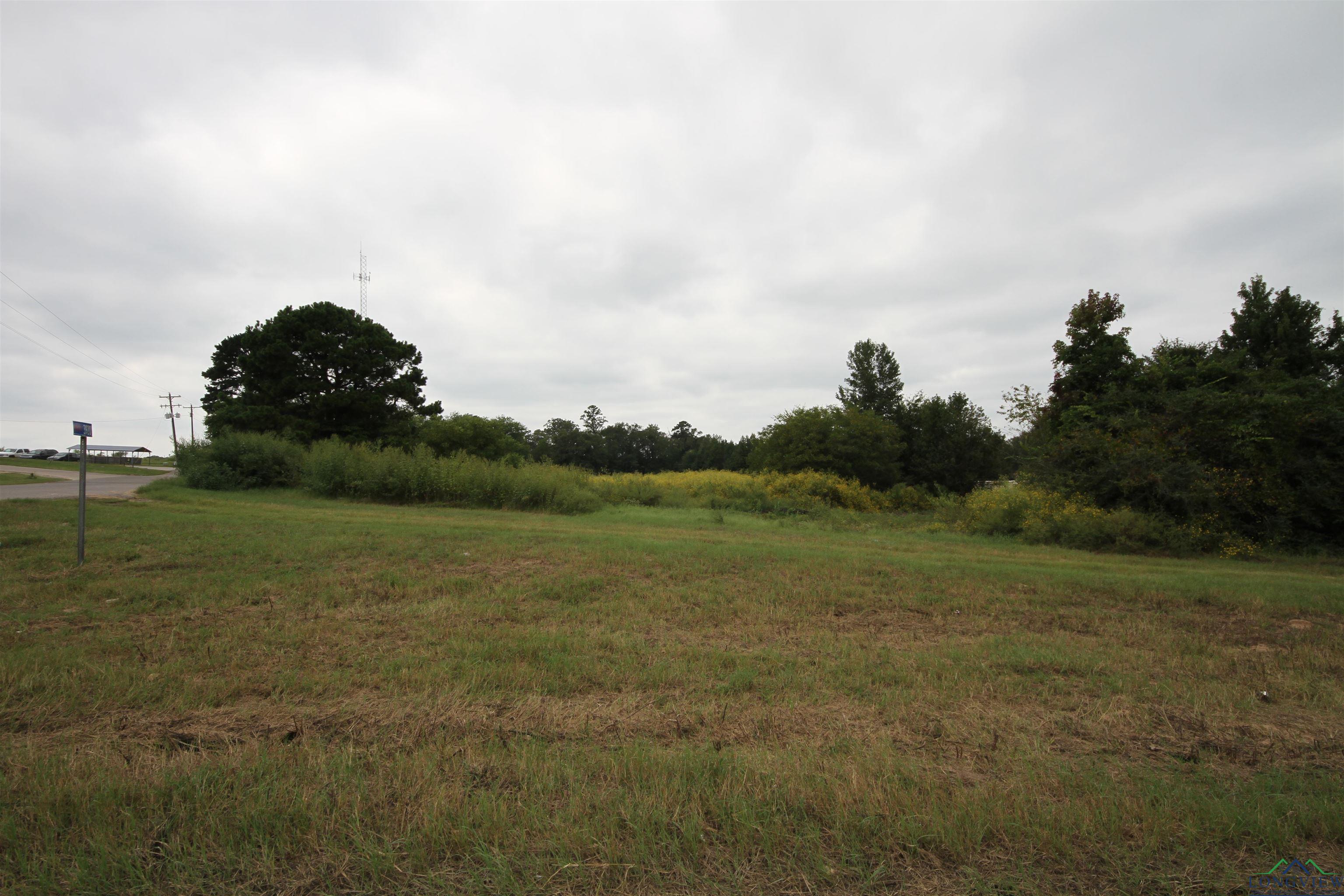 2260 (TBD) S Fm 2869, Hawkins, Texas image 1