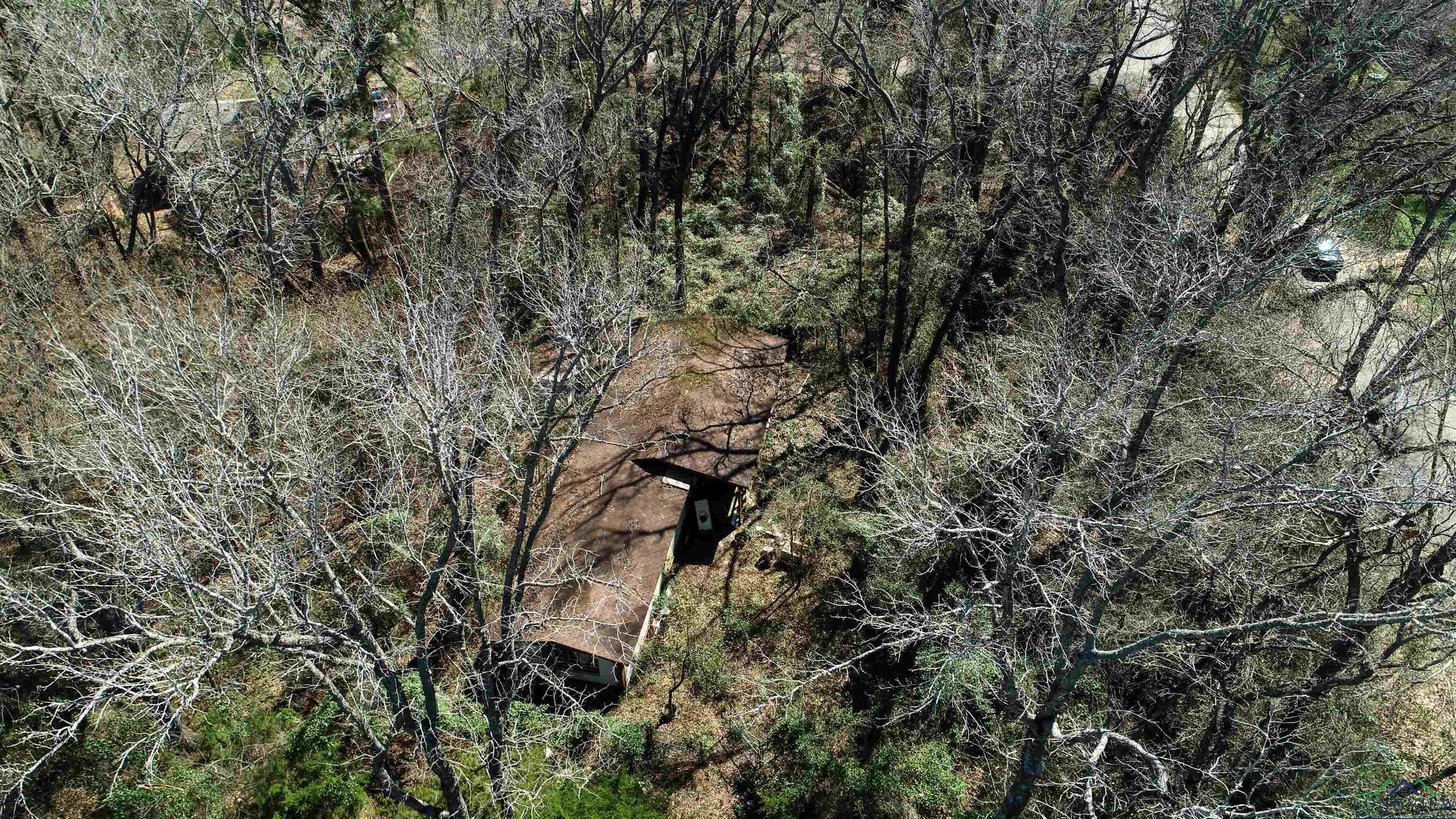 TBD Glen Oaks Dr, Frankston, New Mexico image 2
