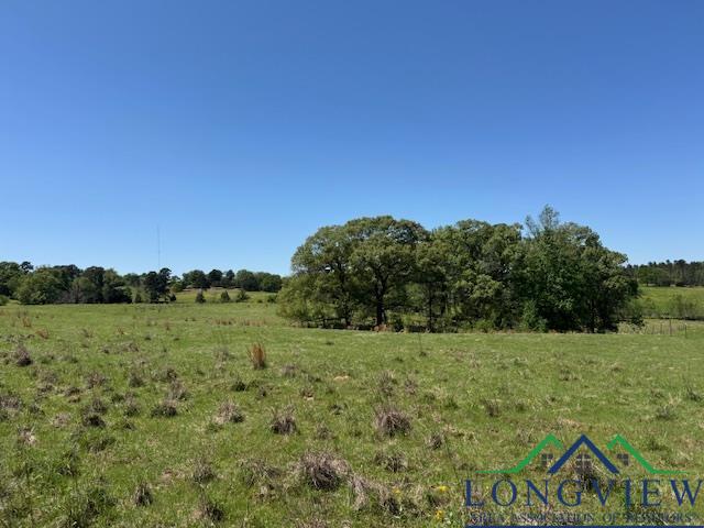 TBD Fm 2685, Gilmer, Texas image 1