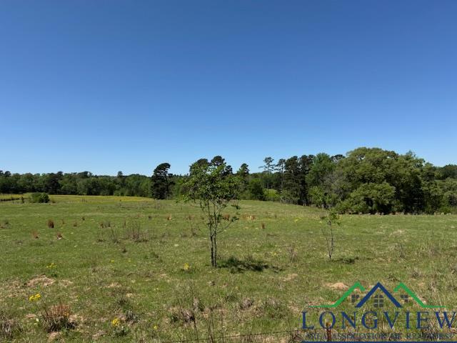 TBD Fm 2685, Gilmer, Texas image 3