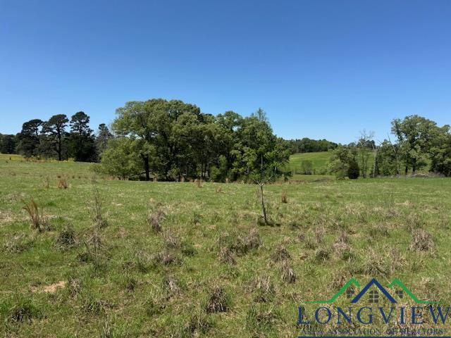 TBD Fm 2685, Gilmer, Texas image 7