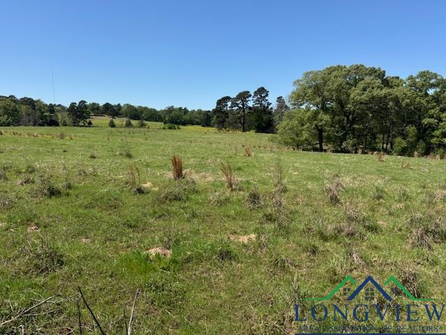 TBD Fm 2685, Gilmer, Texas image 6
