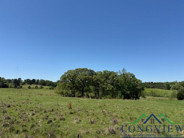TBD Fm 2685, Gilmer, Texas image 11