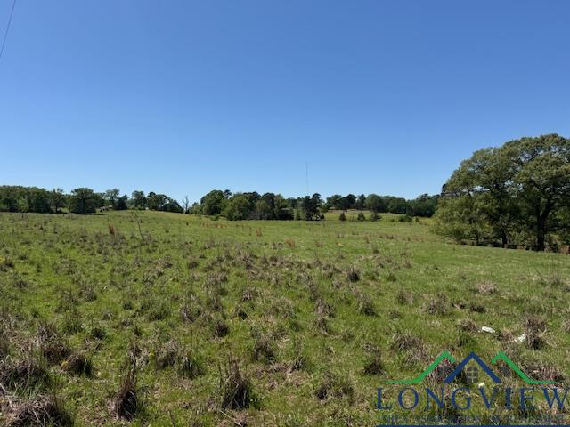TBD Fm 2685, Gilmer, Texas image 9
