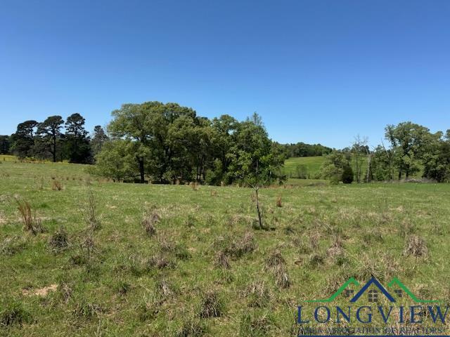 TBD Fm 2685, Gilmer, Texas image 8