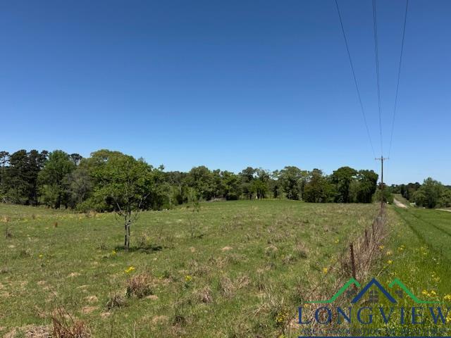 TBD Fm 2685, Gilmer, Texas image 4