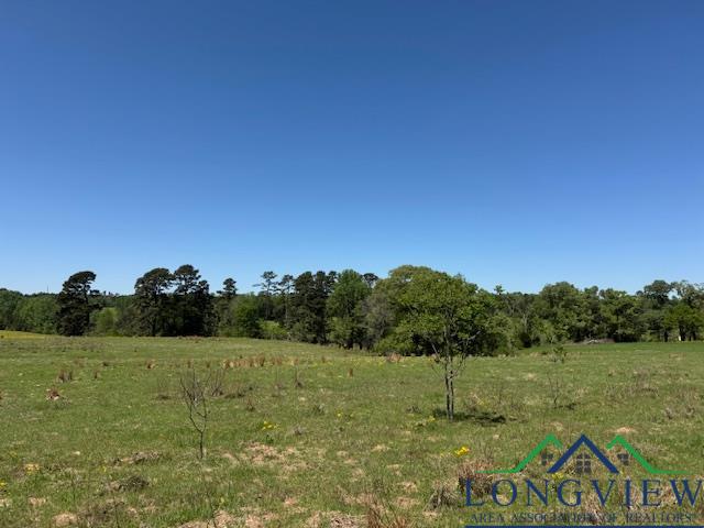 TBD Fm 2685, Gilmer, Texas image 5