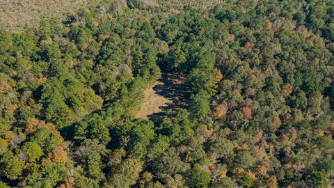 Vacant Land For Sale - 12806 Wood Rd<br/> Upshur County, Diana, TX 75640