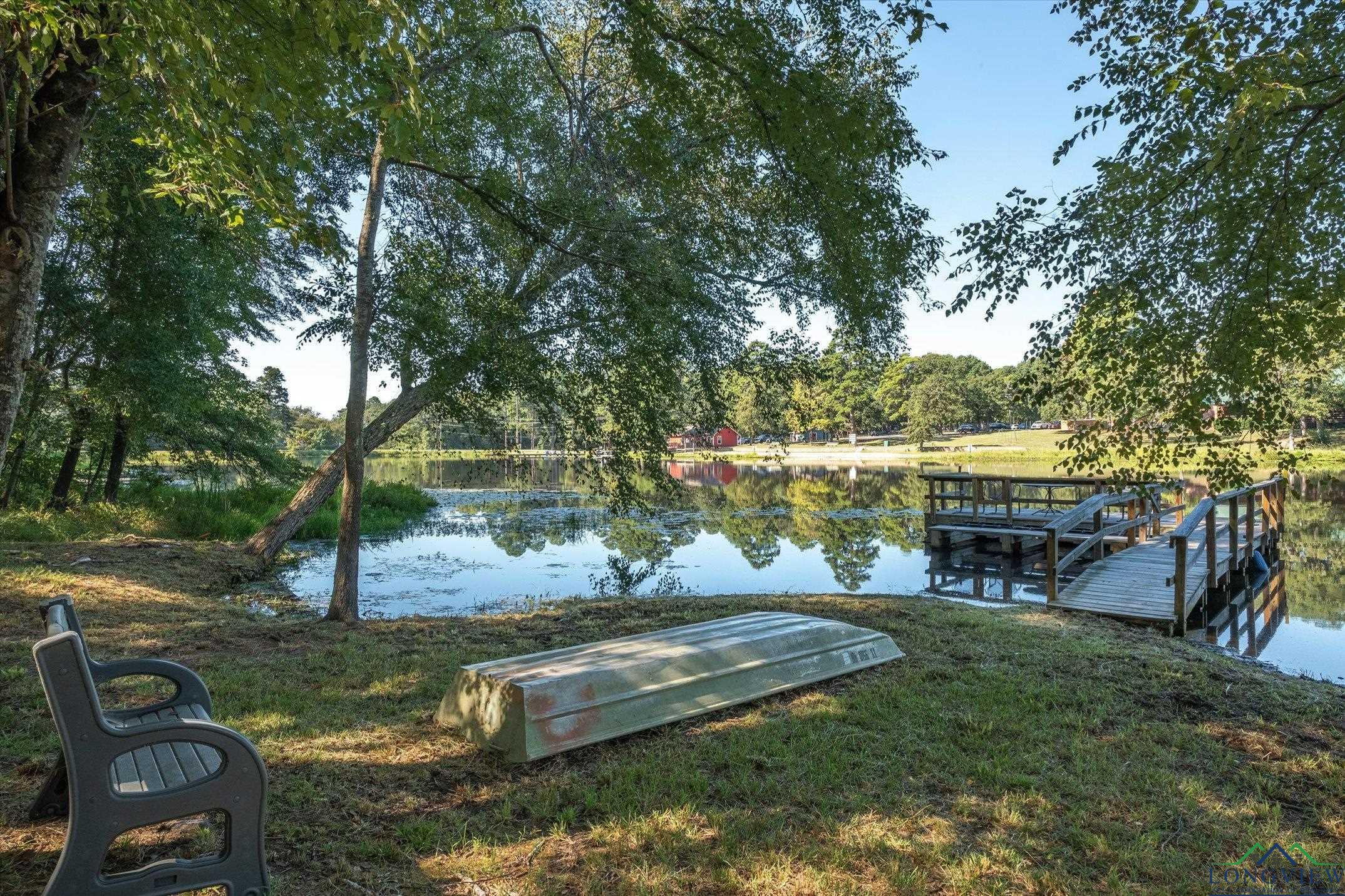 167 Blue Water Point, Holly Lake Ranch, Texas image 3