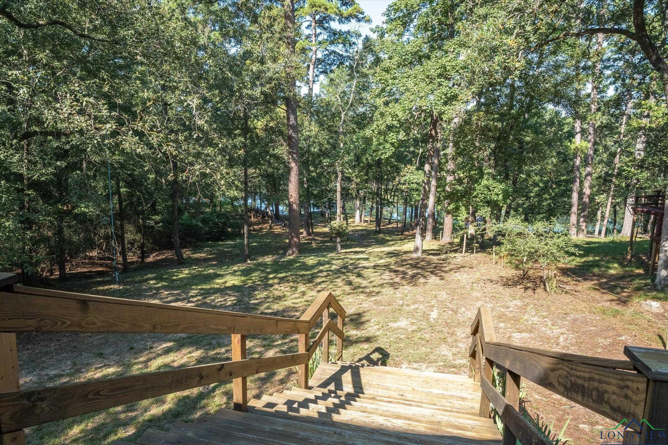 167 Blue Water Point, Holly Lake Ranch, Texas image 27