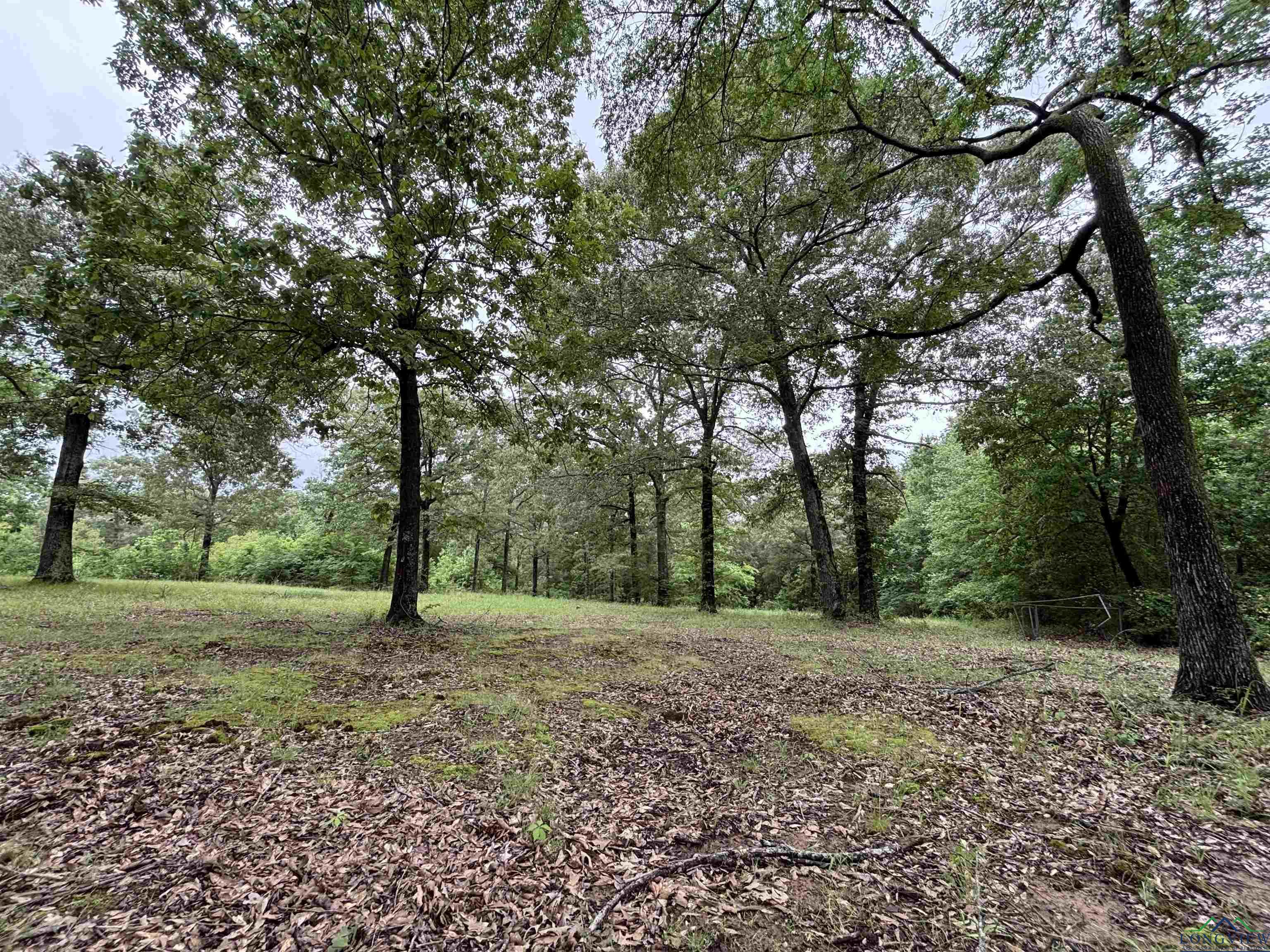 803 Cr 1309, Pittsburg, Texas image 22