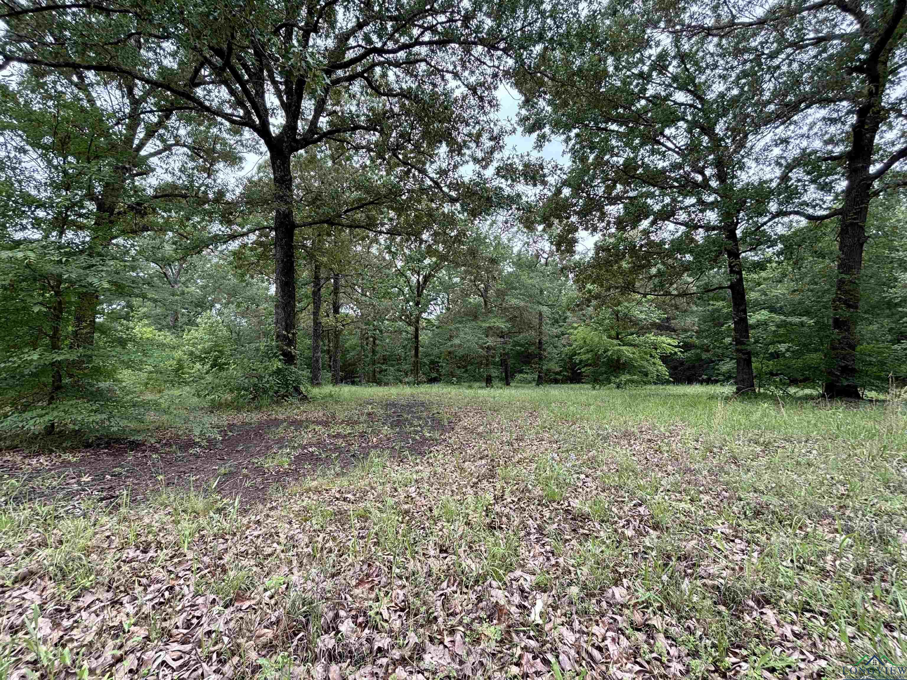 803 Cr 1309, Pittsburg, Texas image 23