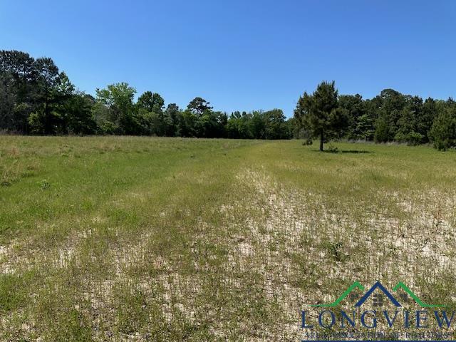 TBD Fm 225, Laneville, Texas image 4