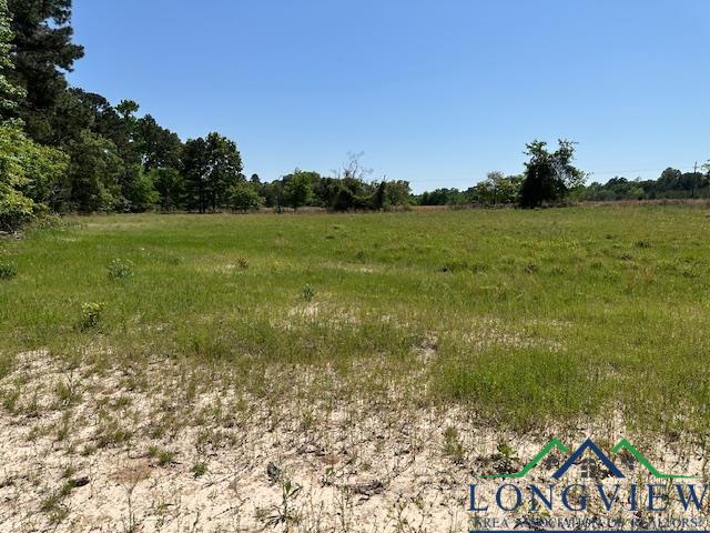 TBD Fm 225, Laneville, Texas image 3