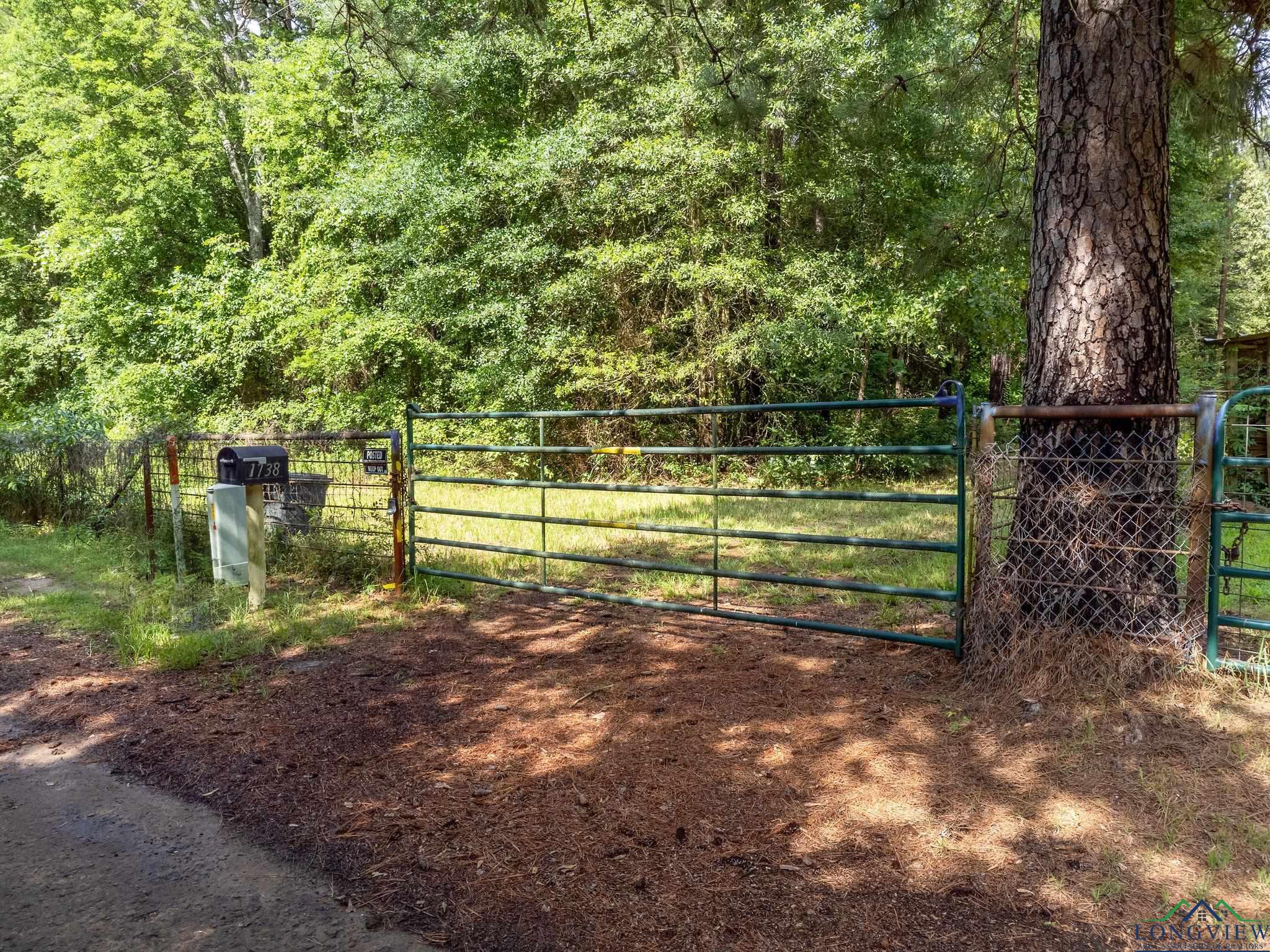 1738 White Cedar Rd, Big Sandy, Texas image 2