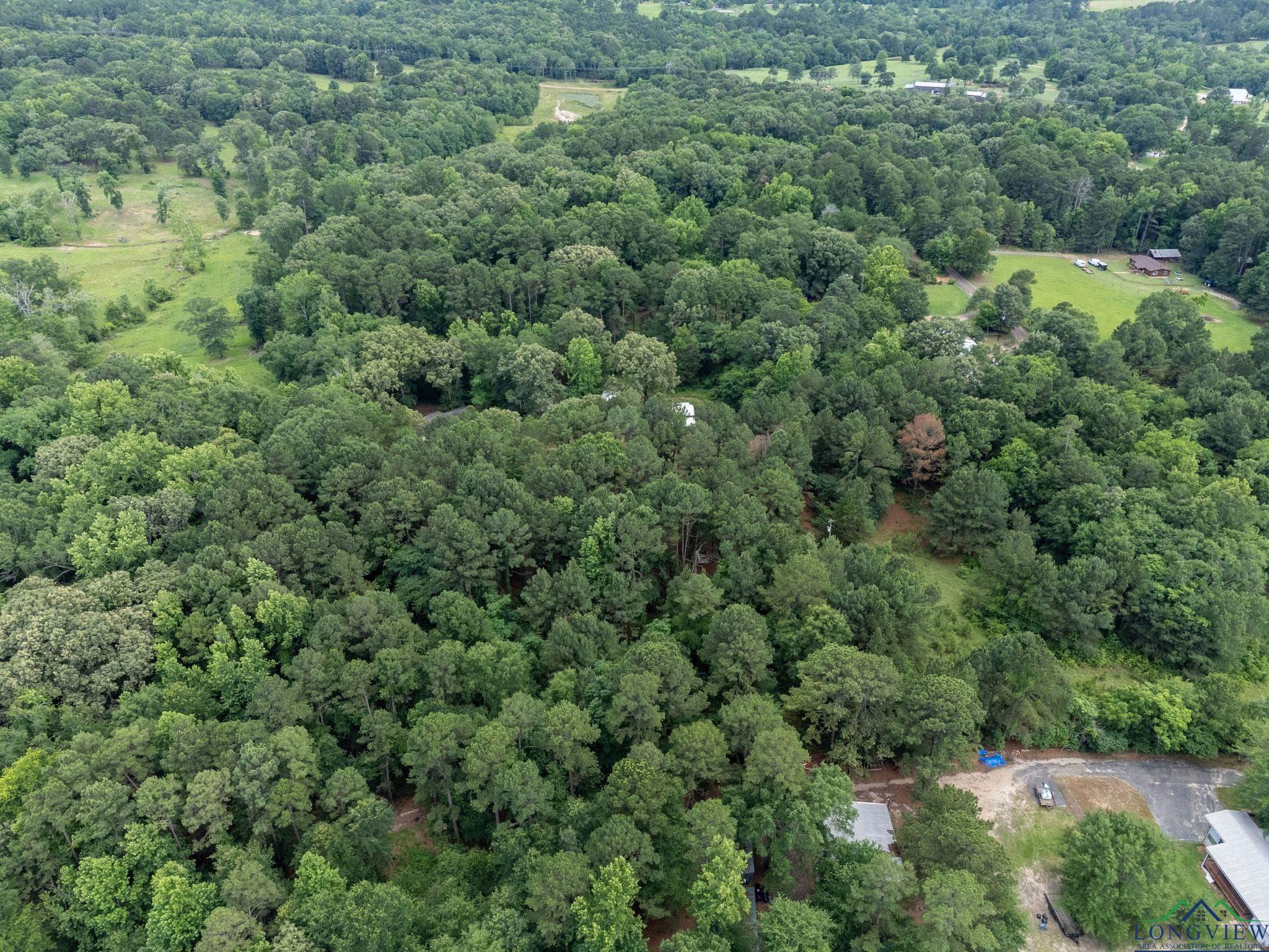 1738 White Cedar Rd, Big Sandy, Texas image 37