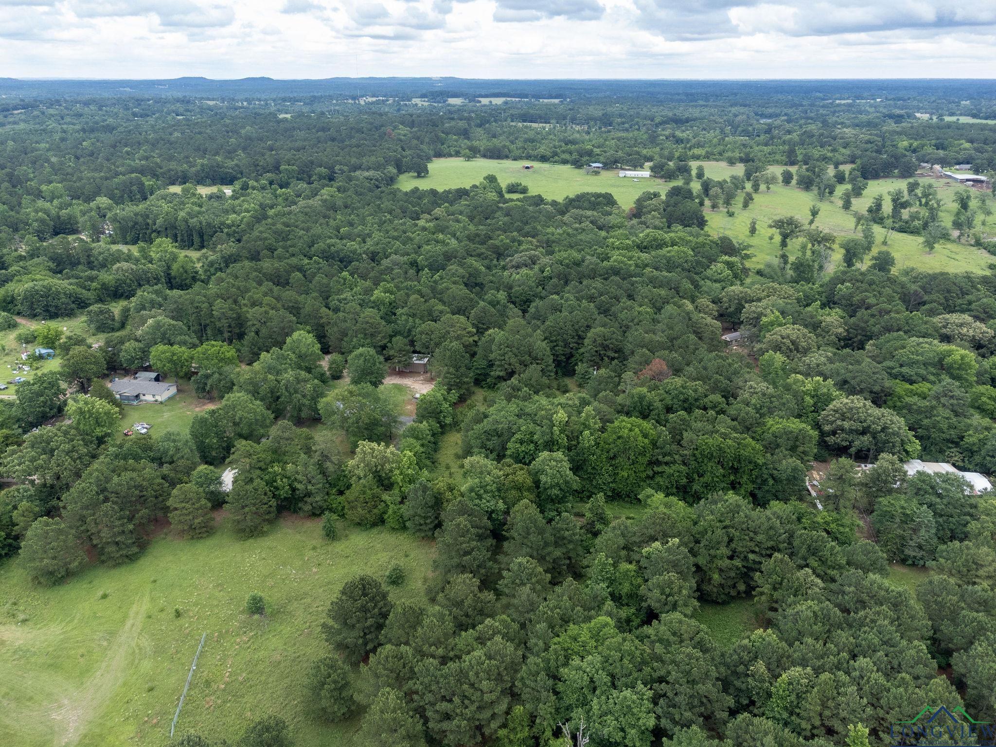 1738 White Cedar Rd, Big Sandy, Texas image 40