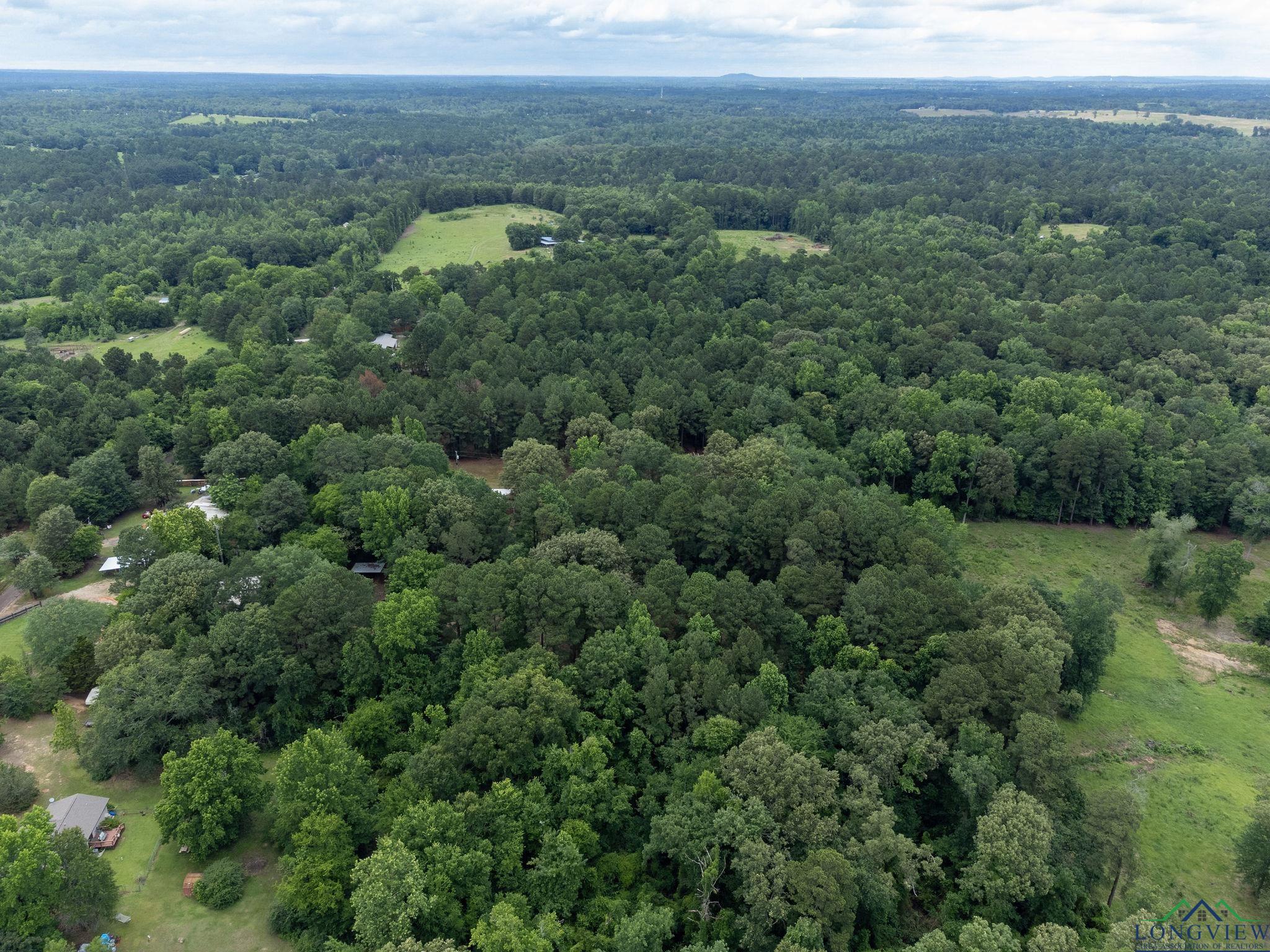 1738 White Cedar Rd, Big Sandy, Texas image 39