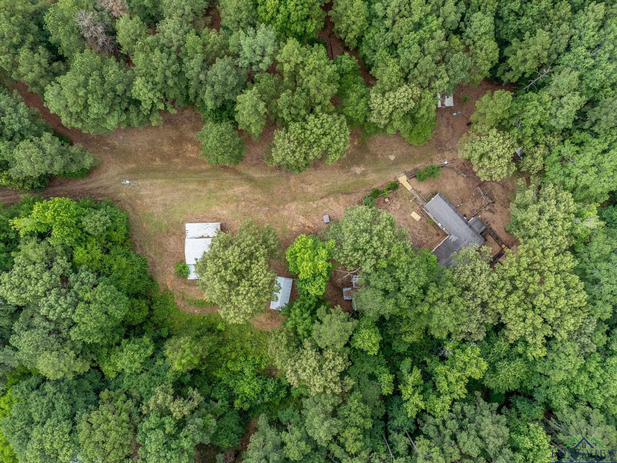 1738 White Cedar Rd, Big Sandy, Texas image 33