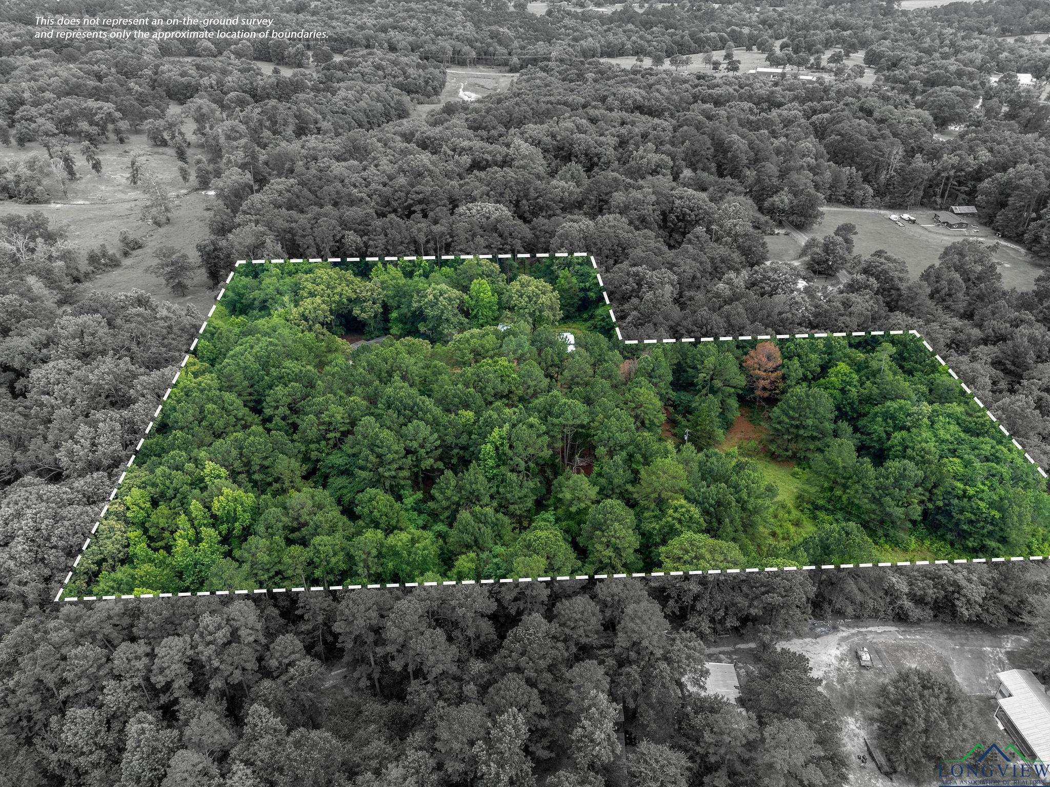 1738 White Cedar Rd, Big Sandy, Texas image 36