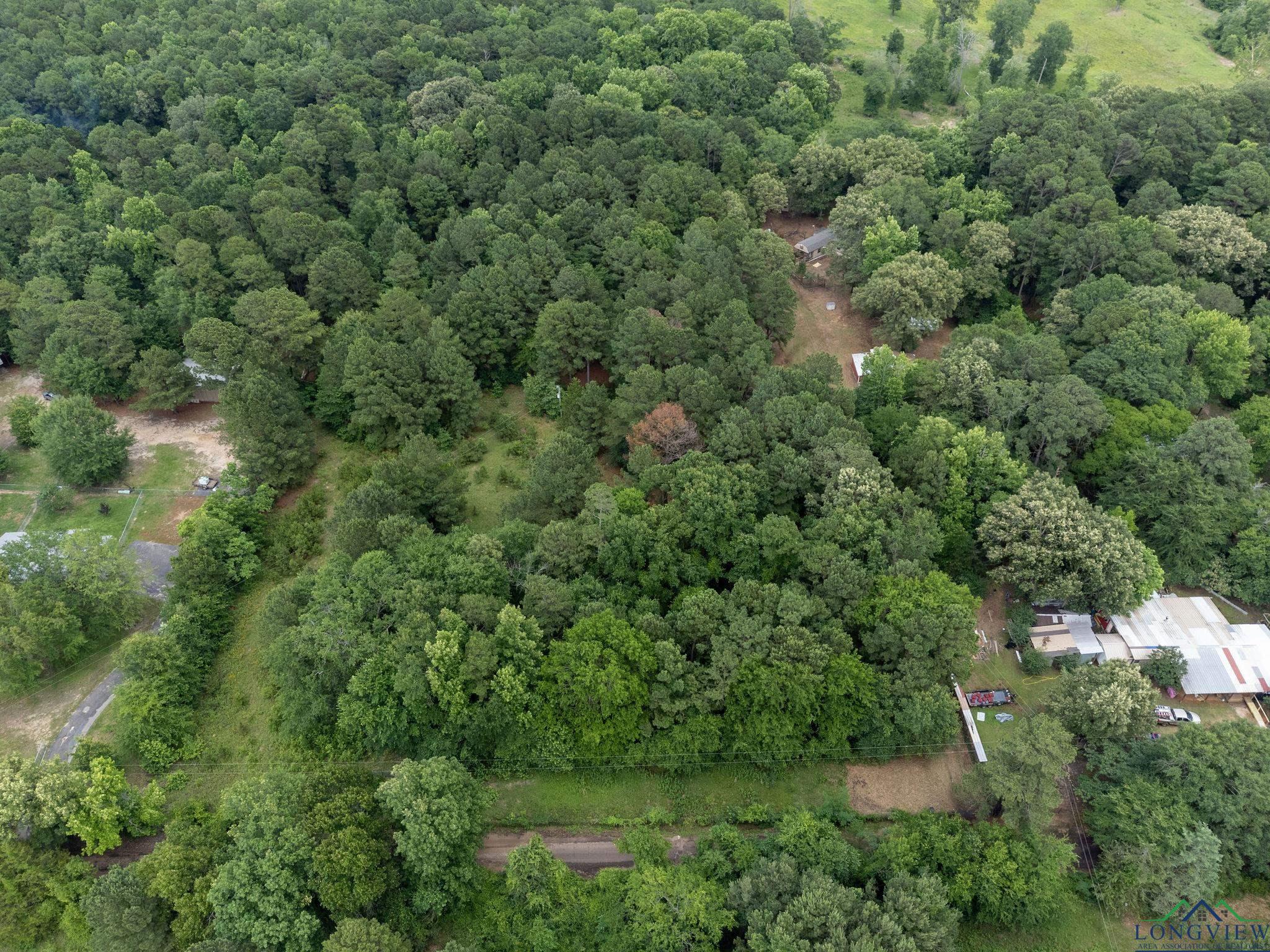 1738 White Cedar Rd, Big Sandy, Texas image 35