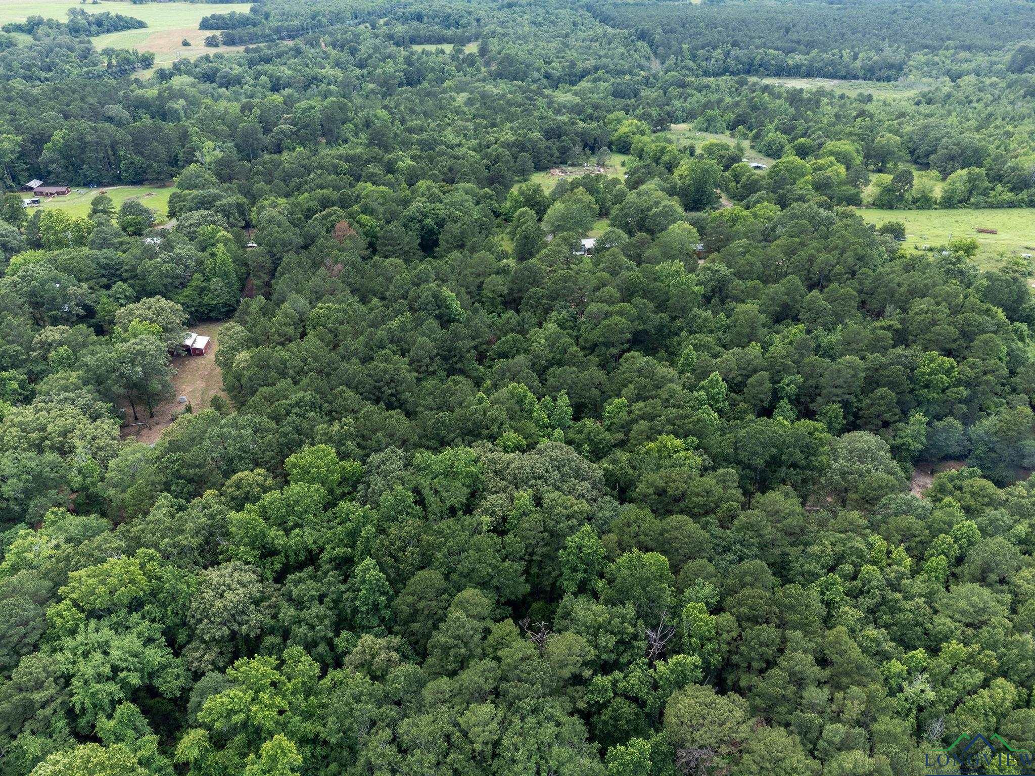 1738 White Cedar Rd, Big Sandy, Texas image 38