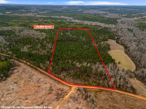 Vacant Land For Sale - 35.885 AC Tbd Liberty Rd<br/> Jefferson, TX 75657