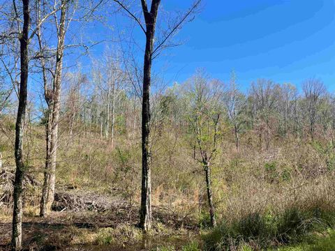 Vacant Land For Sale - TBD Cr 3223<br/> Mount Enterprise, TX 75681