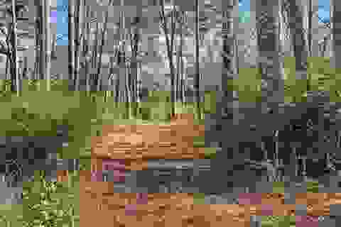 Slider Thumb