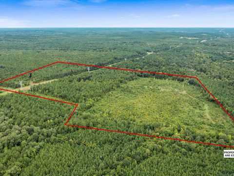 Vacant Land For Sale - TBD Fm 95 (69.03 Acres)<br/> Mount Enterprise, TX 75681