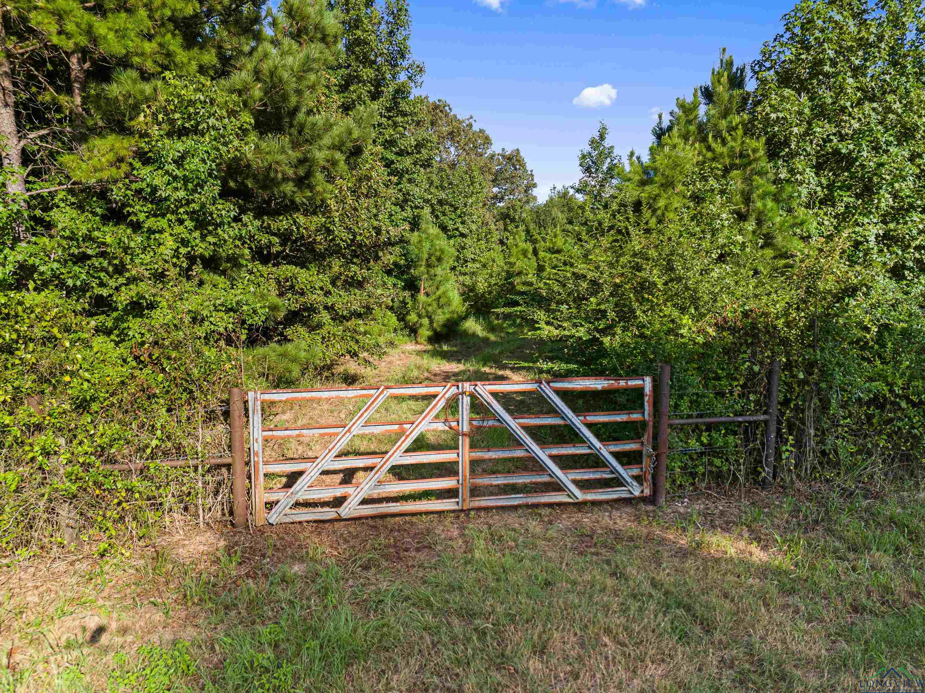 TBD Fm 3053, Kilgore, Texas image 6