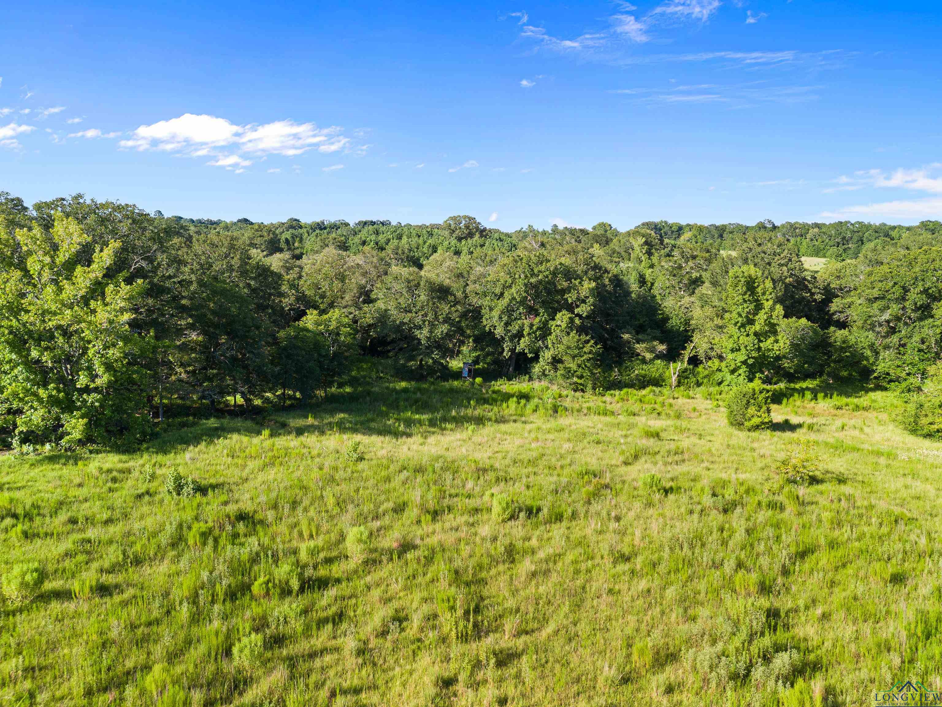 TBD Fm 3053, Kilgore, Texas image 21