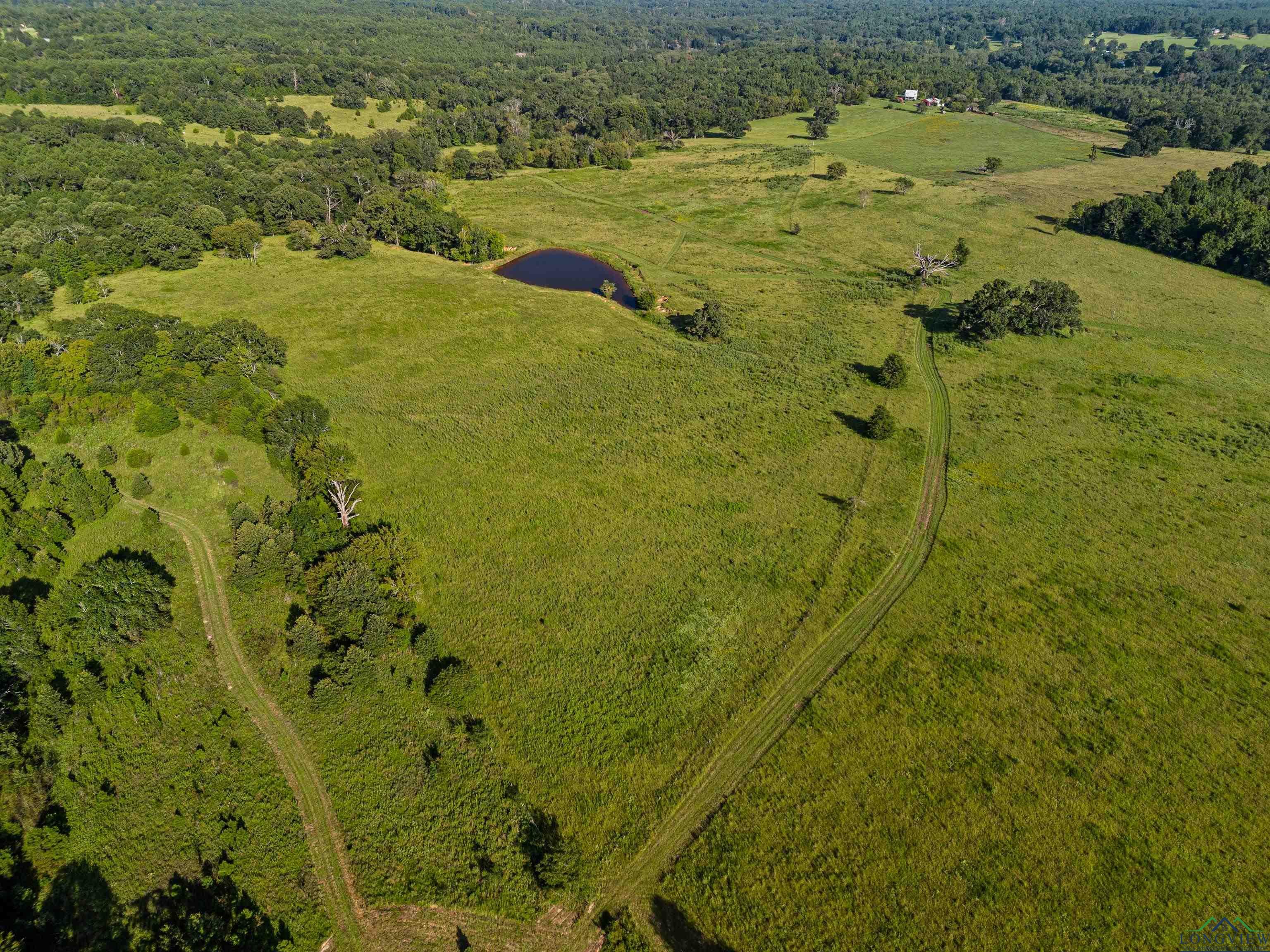 TBD Fm 3053, Kilgore, Texas image 14