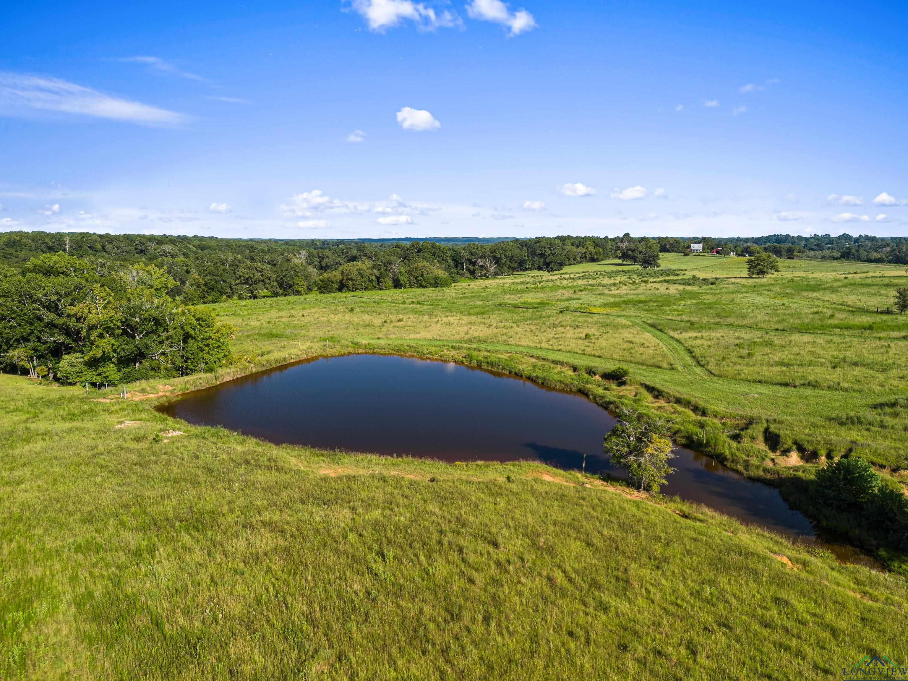 TBD Fm 3053, Kilgore, Texas image 16