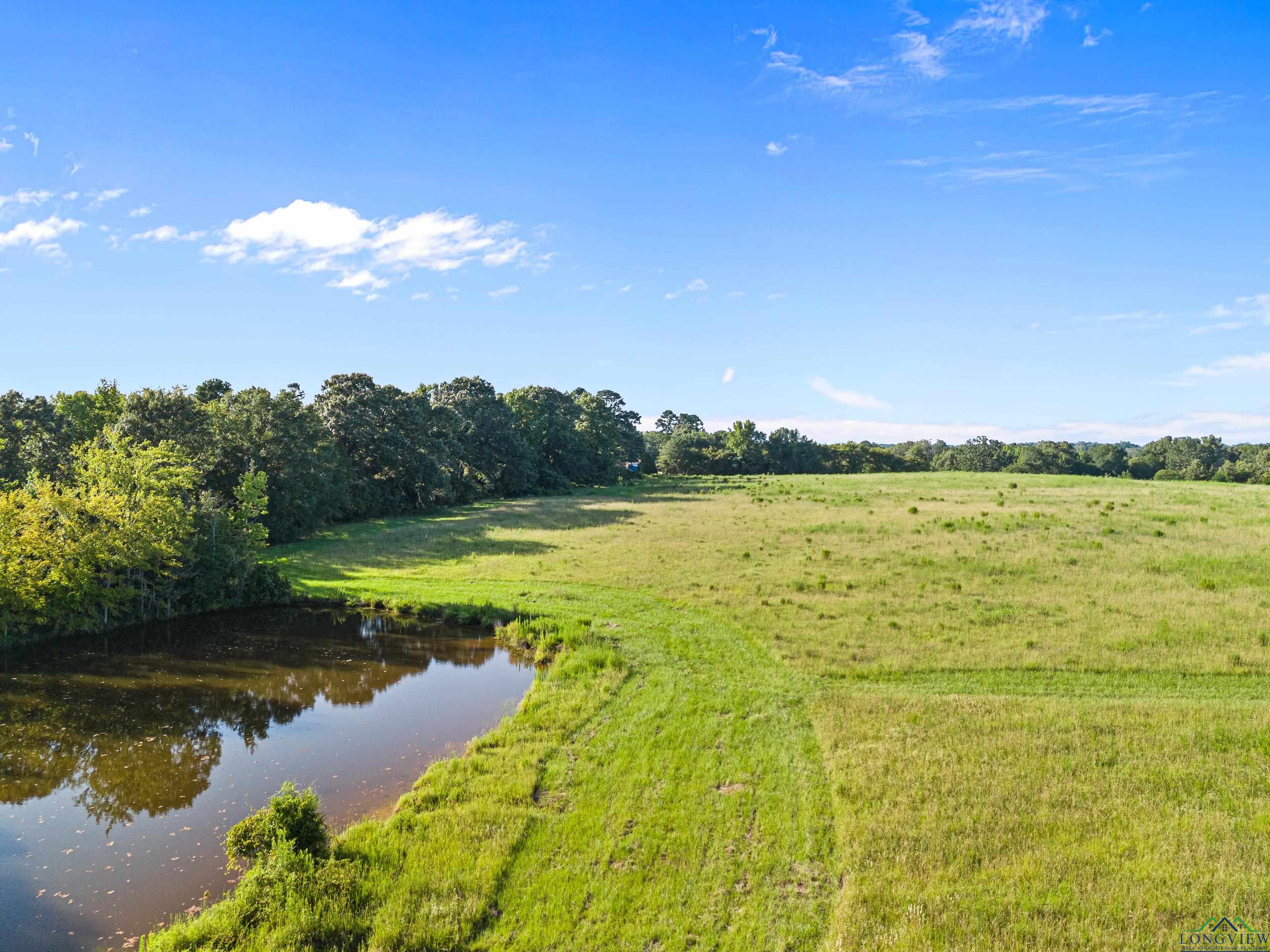 TBD Fm 3053, Kilgore, Texas image 9