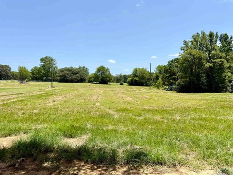 Vacant Land For Sale - 1468 Buchanan Rd<br/> Hallsville, TX 75650