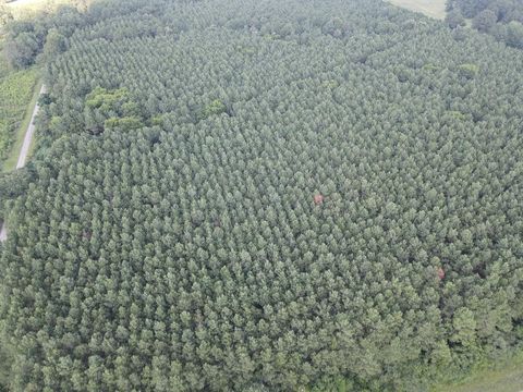 Vacant Land For Sale - TBD Fm 699<br/> Panola County, Tenaha, TX 75954