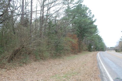 Vacant Land For Sale - TBD Fm 2796 N & S<br/> Upshur County, Gilmer, TX 75644