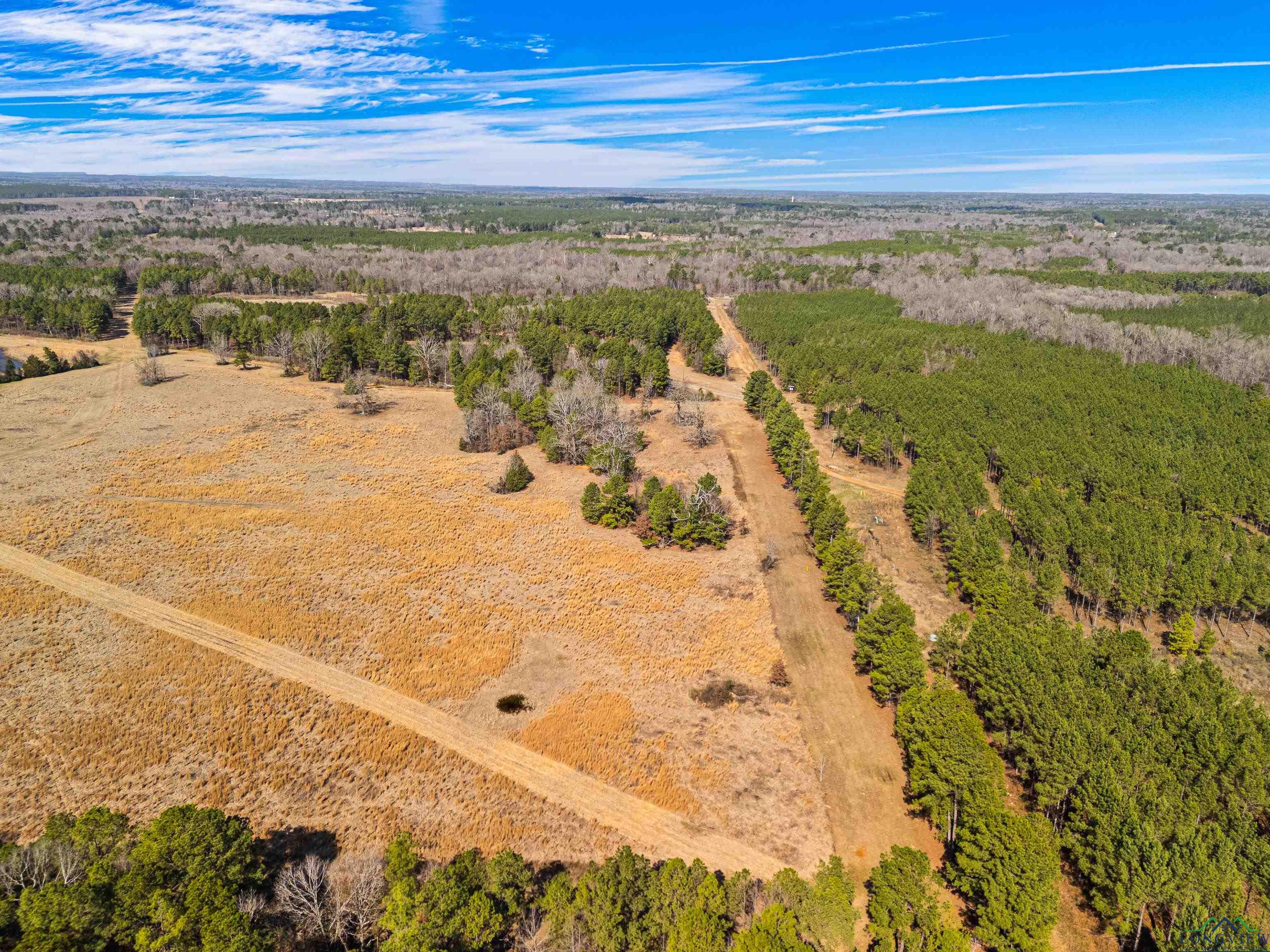 853 Newton Road, Marshall, Texas image 9