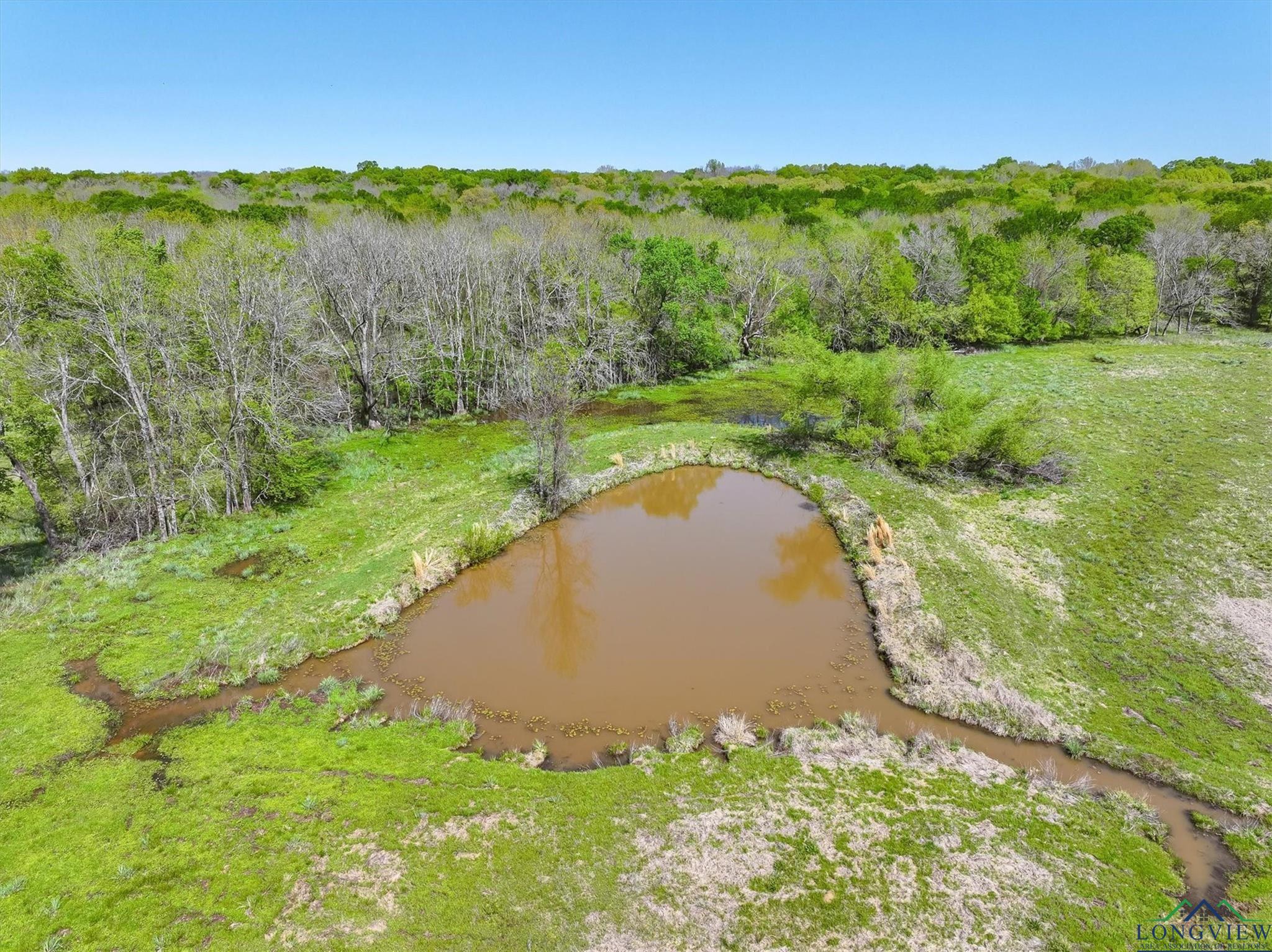 902 Vz County Road 3710, Edgewood, Texas image 9