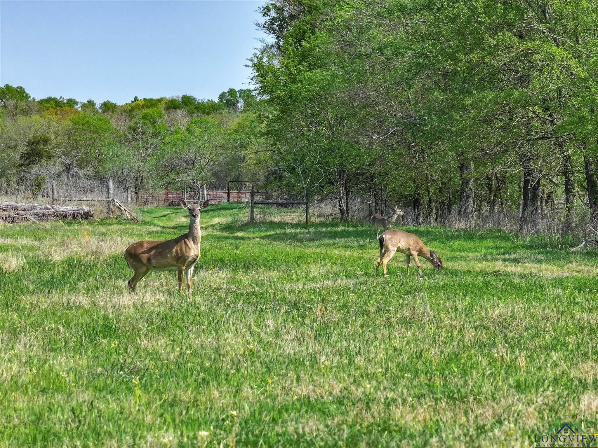 902 Vz County Road 3710, Edgewood, Texas image 6