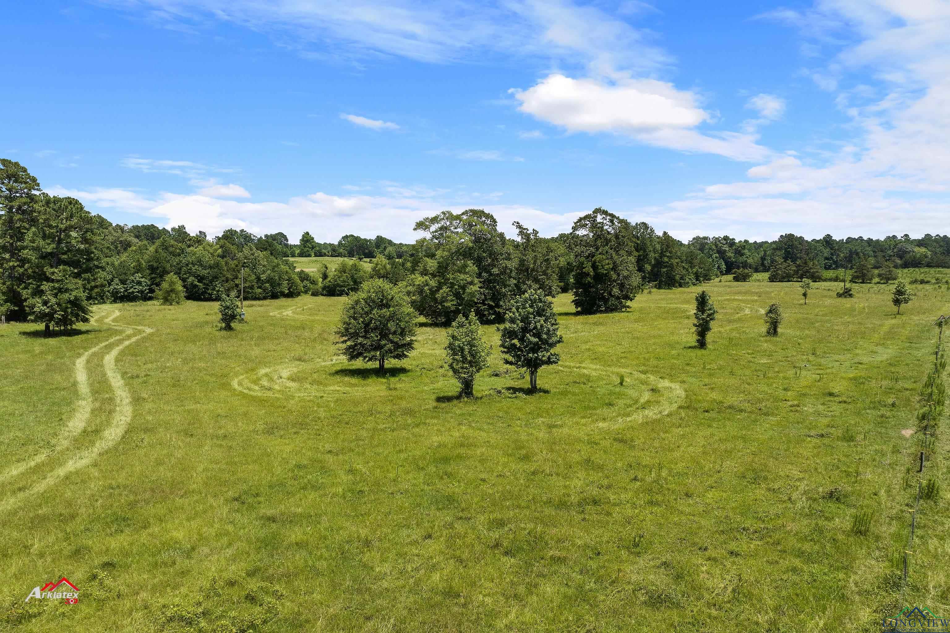 TBD Cr 464, Carthage, Texas image 10