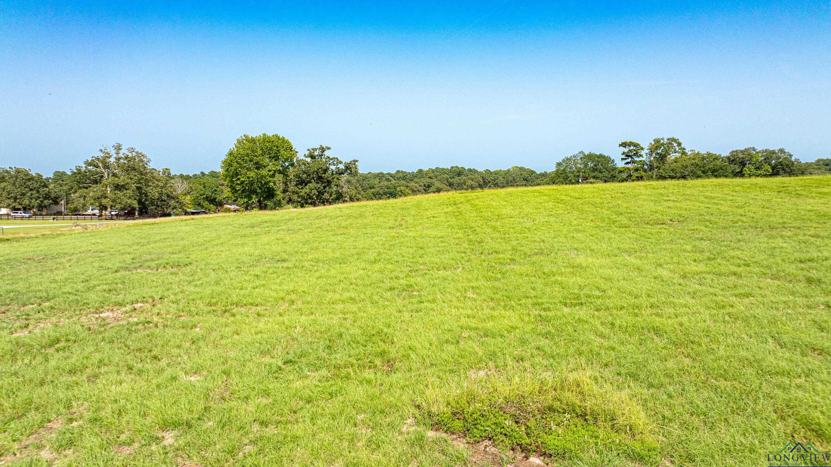 TRACT 8 S Fm 3358 Street, Gilmer, Texas image 15