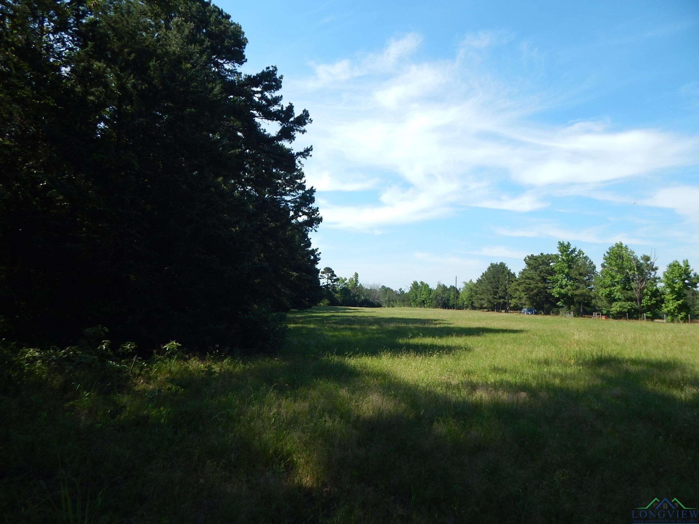 TBD Cr 3190, Winnsboro, Texas image 19